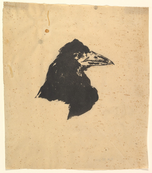 Dessin de travail d'une tête de corbeau pour une édition de The Raven de 1875
